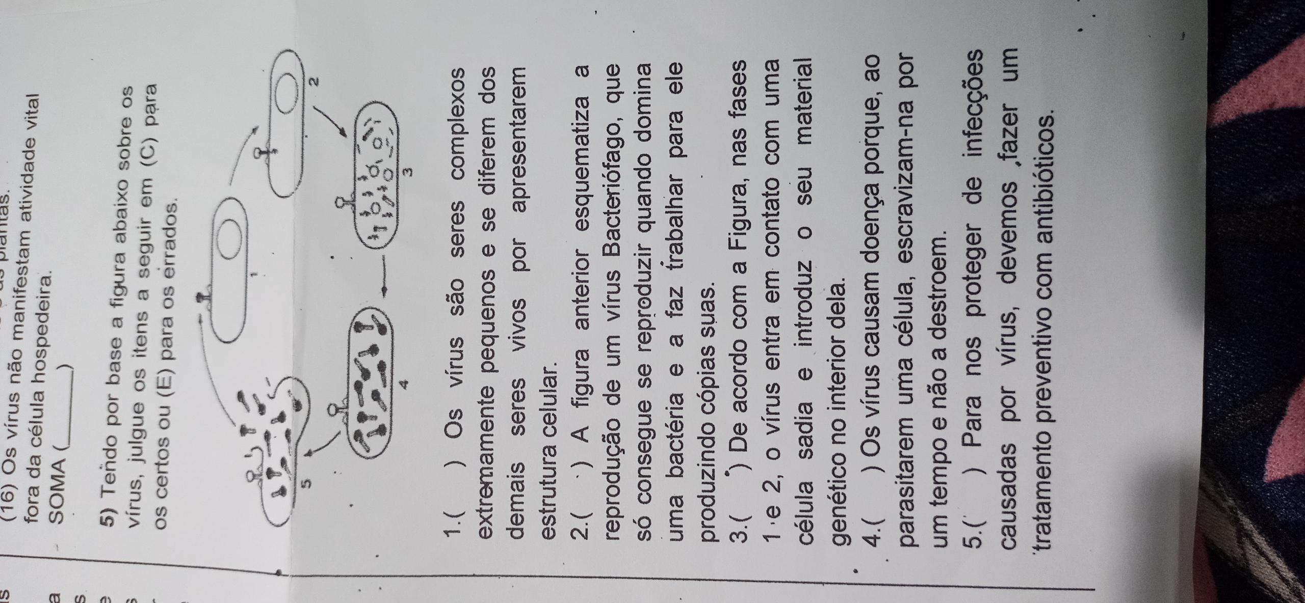 Me ajudem por favor4) com relação às características gerais de um vírus, descubra os itens corretos e dê como resposta a soma dos mesmos.