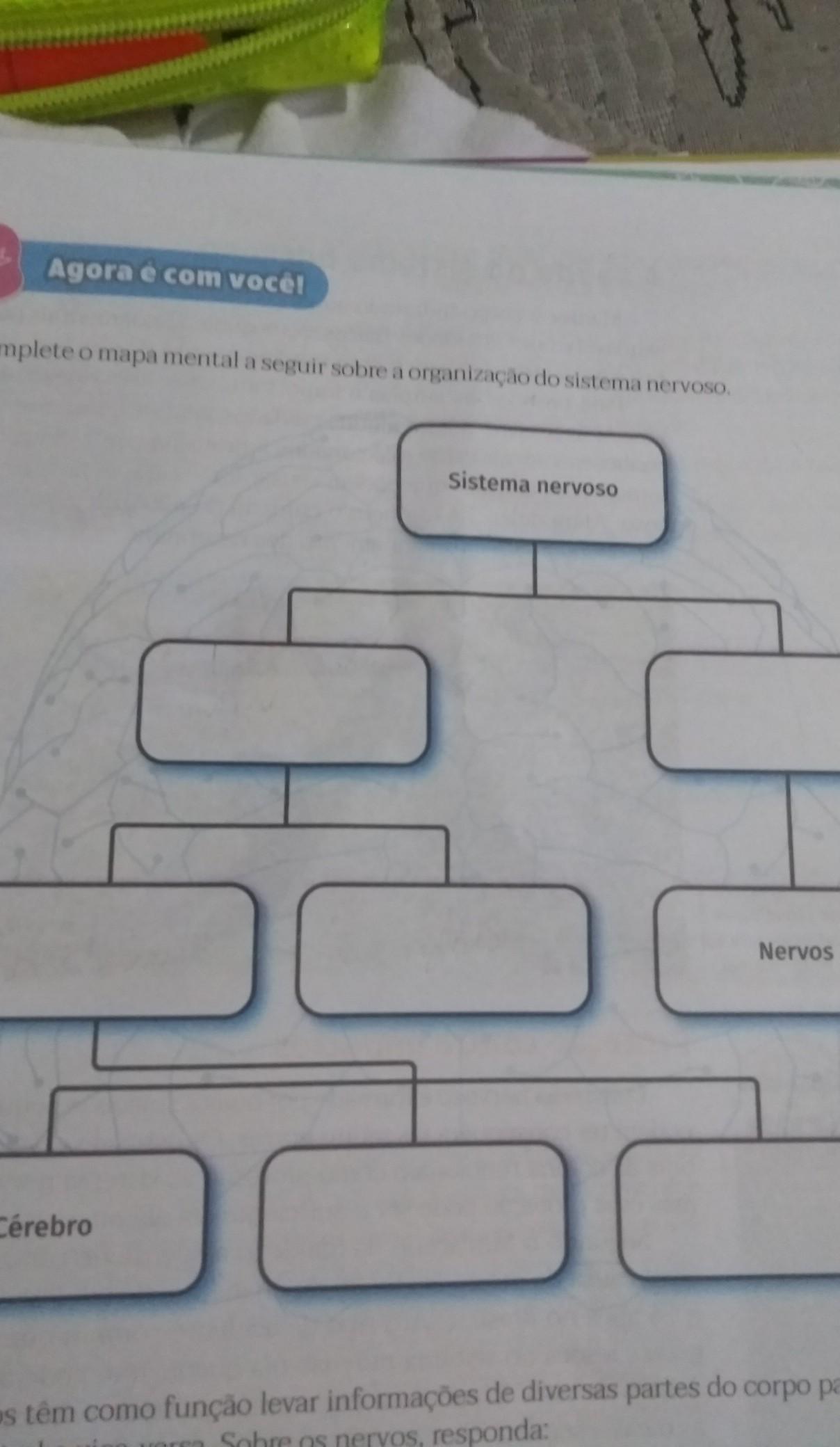 1Complete o mapa mental a seguir sobre a organização do sistema nervoso ​