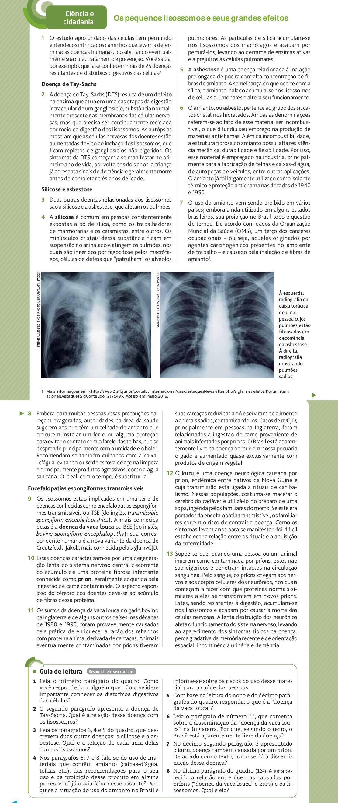 Alguém pode me ajudar a responder essas questões da foto? Questões do guia de leitura do 1 ao 8, atividade os pequenos lisossomos e seus defeitos.