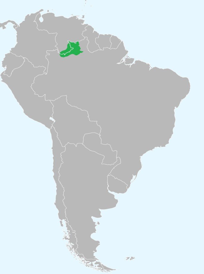 Mapa com localização do povo Yanomami