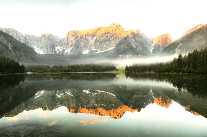 reflexo